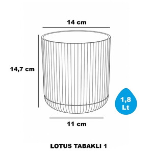  SERİNOVA LOTUS SAKSI 1.8 LT NO:1