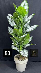 PRETTY B3 YAPAY AĞAÇ