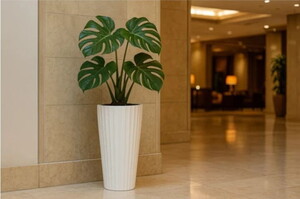 SERİNOVA LİLYUM VAZO SAKSI NO:1