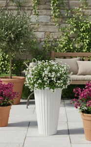  SERİNOVA LİLYUM VAZO SAKSI NO:1