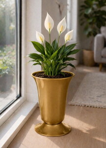 SERİNOVA LALE KESME ÇİÇEK VAZOSU 9,0 LT