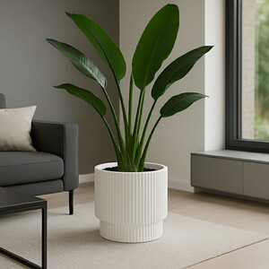 SERİNOVA VEGA SAKSI NO:2