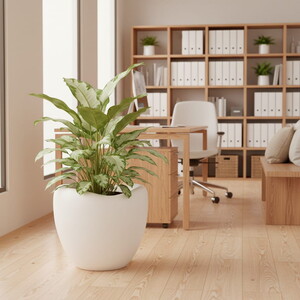 SERİNOVA LALE SAKSI NO:3