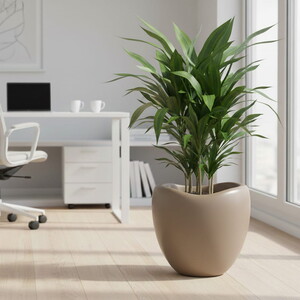  SERİNOVA LALE SAKSI NO:3