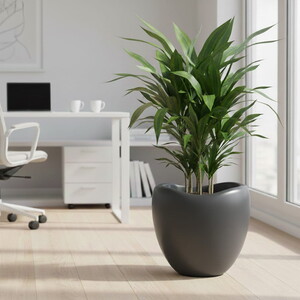  SERİNOVA LALE SAKSI NO:3