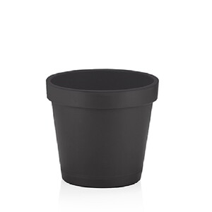 DÜNYA PARİS SAKSI 3,75 LT.