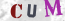 Güvenlik Resmi