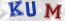 Güvenlik Resmi