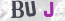 Güvenlik Resmi