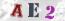 Güvenlik Resmi