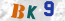 Güvenlik Resmi